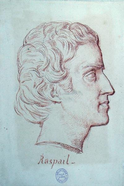 Porträt von Francois Vincent Raspail (1794-1878) von French School