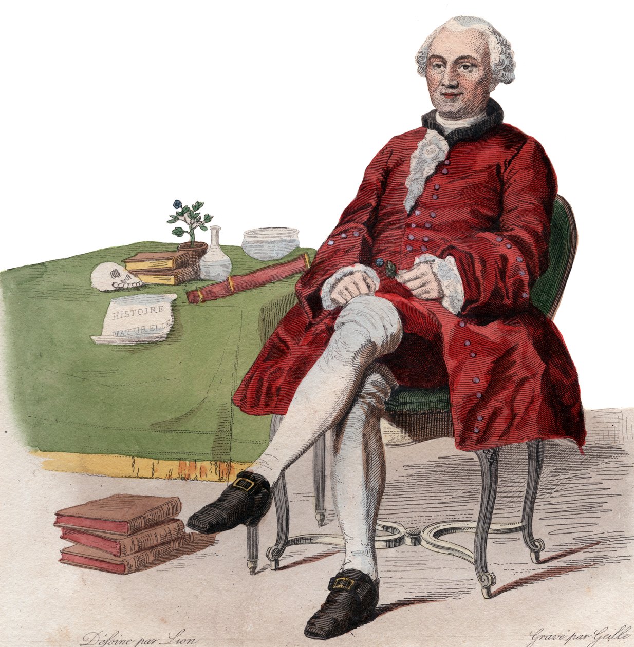 Porträt von Georges Louis Leclerc, Comte de Buffon (1707-1788), französischer Naturforscher von French School