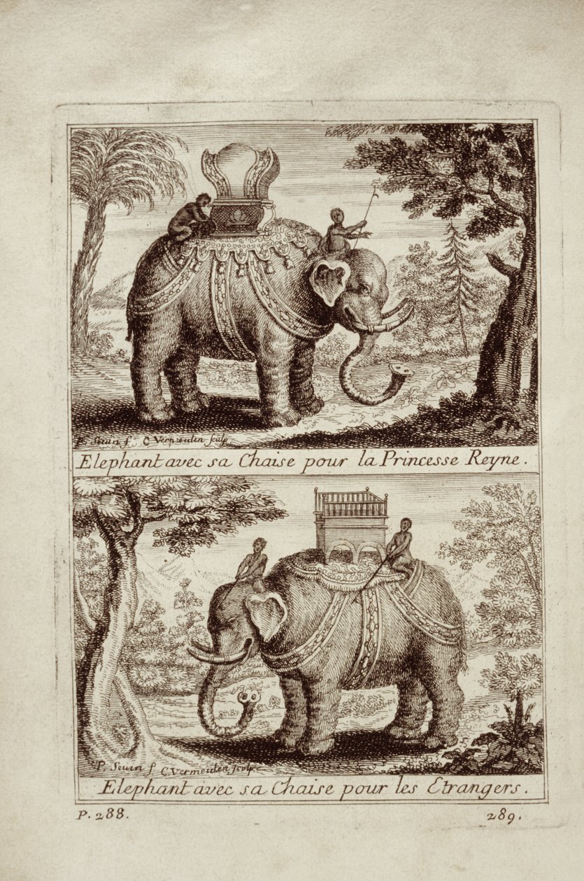 Königliche Elefanten, aus Voyage du Siam des Peres Jesuites von Guy Tachard, 1688 von French School