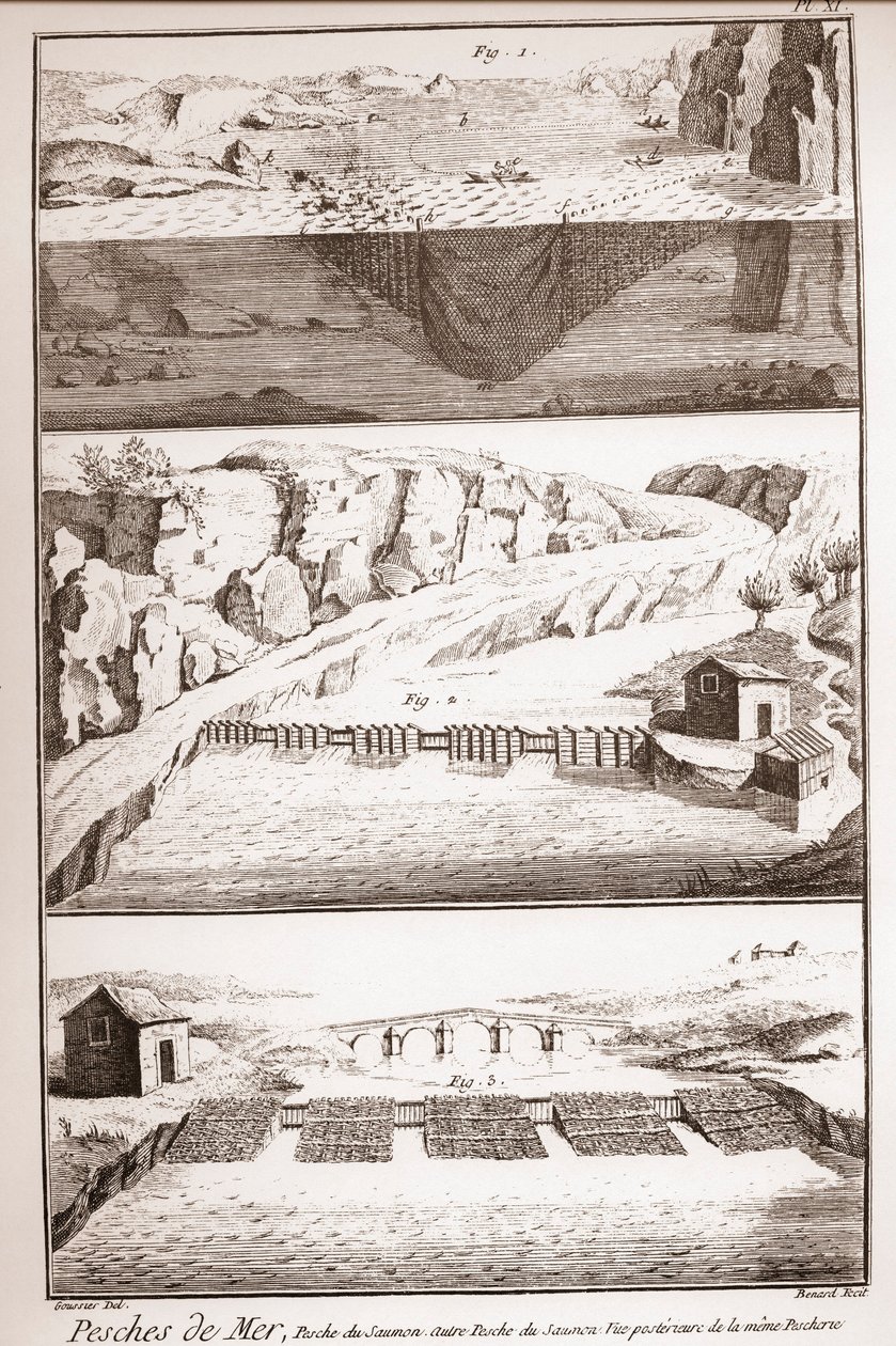 Lachsfischereitechniken - Enzyklopädie oder Wörterbuch der Wissenschaften, Künste und Berufe von Denis Diderot (1713-1784) und Jean d