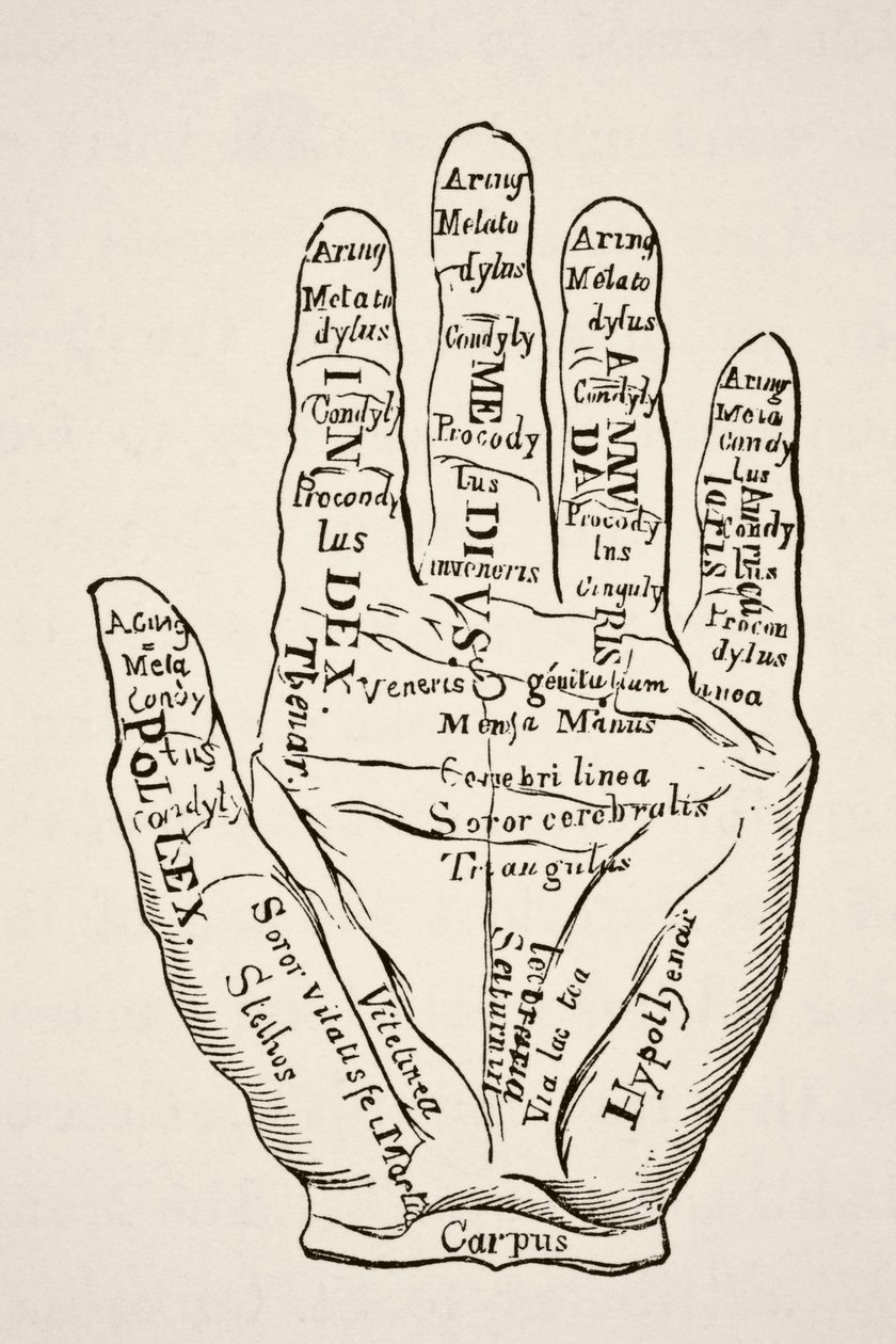Exemplar der linken Hand mit den Linien und ihren horoskopischen Bezeichnungen, aus 