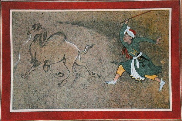Der wütende Kameltreiber, Illustration aus 