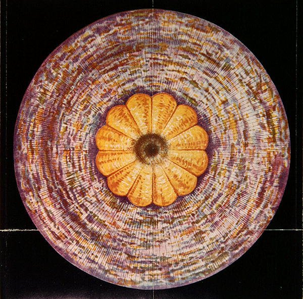 Das Kronenchakra, Illustration aus 