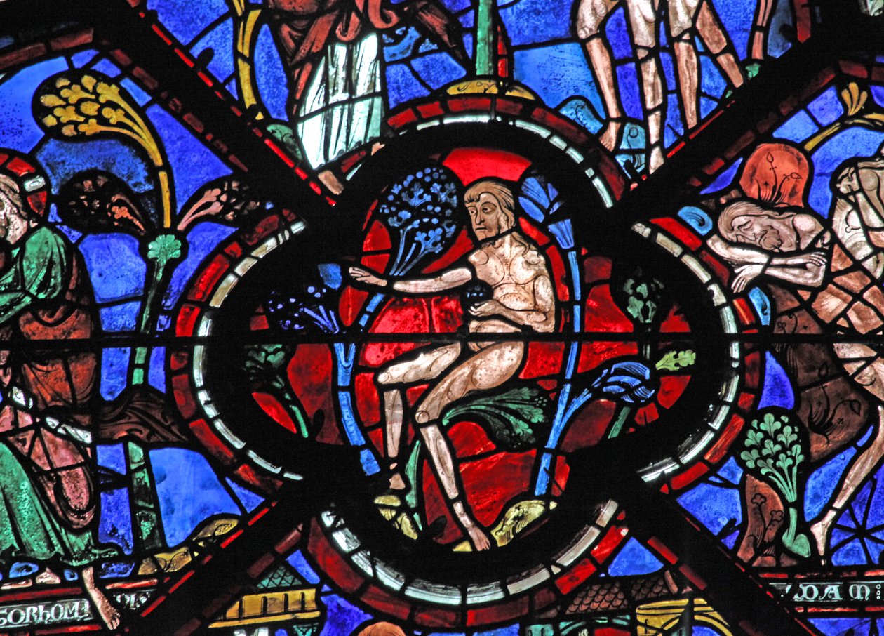 Das Fenster des barmherzigen Samariters: Adam im Garten Eden von French School