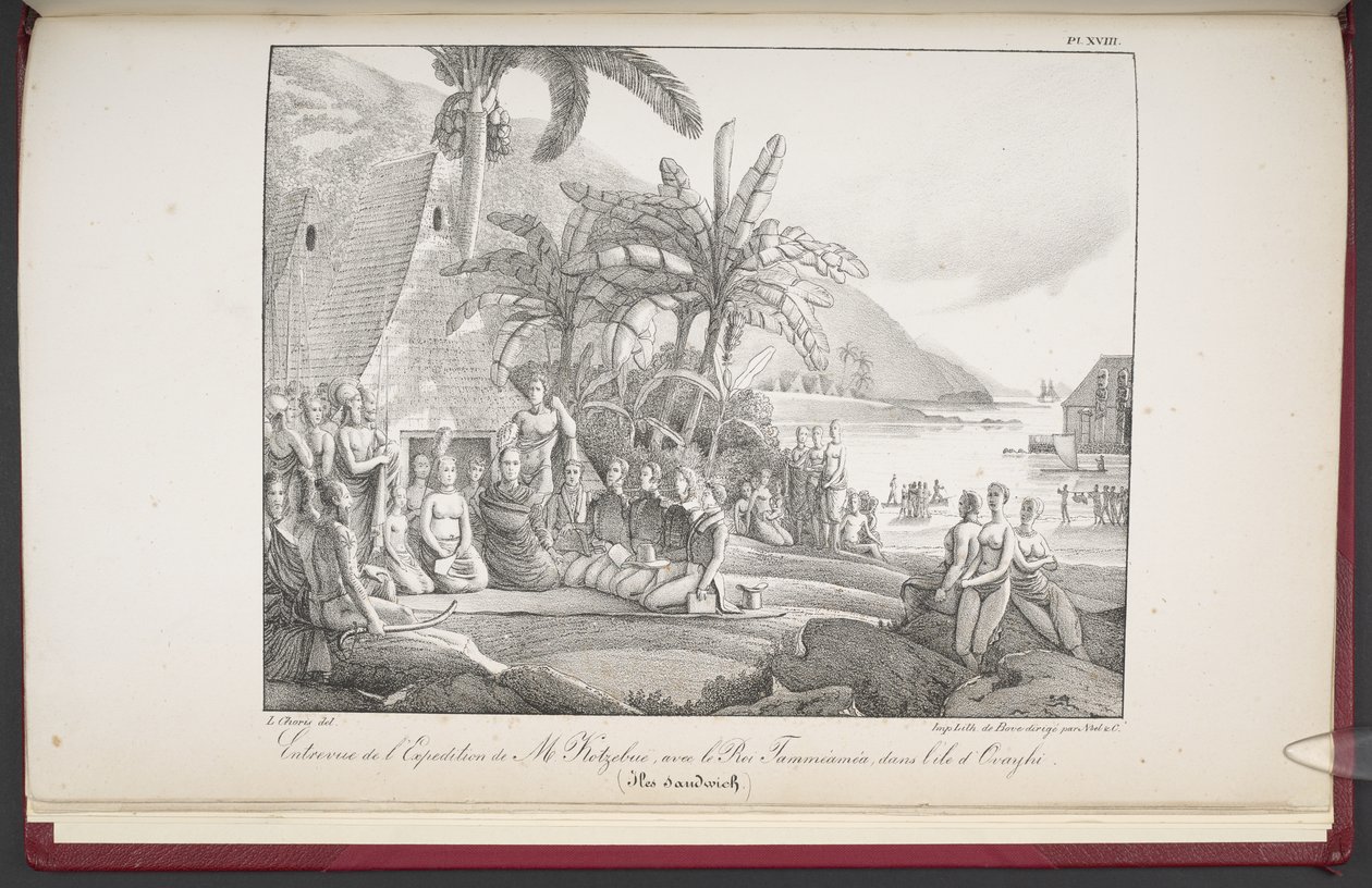 Die Sandwich-Inseln, Begegnung der Expedition von Herrn Koebruë mit König Tamméaméa auf der Insel Ovayhi, aus 