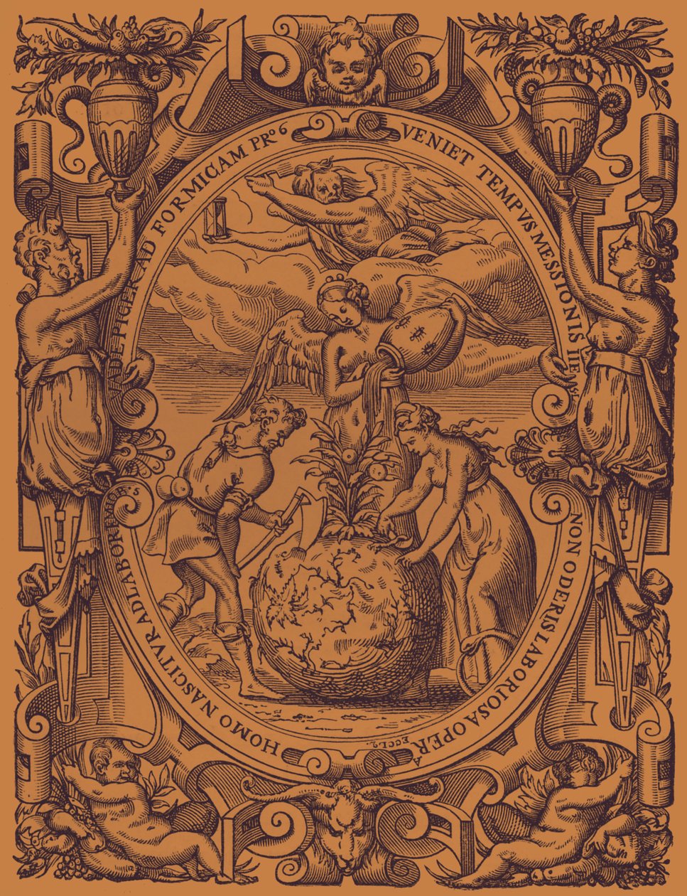 Das Pflanzenreich von French School