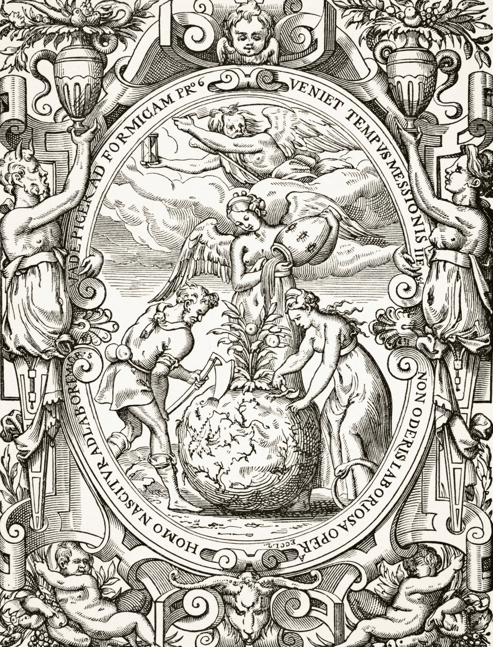 Das Pflanzenreich, aus Wissenschaft und Literatur im Mittelalter von Paul Lacroix (1806-84) veröffentlicht London 1878 von French School