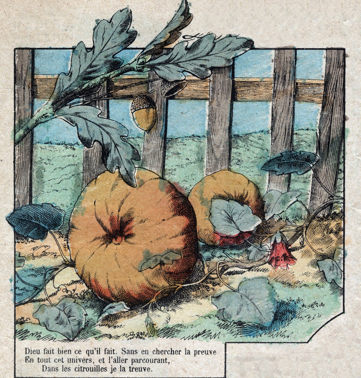Die Eichel und der Kürbis. Fabeln von Jean de La Fontaine von French School