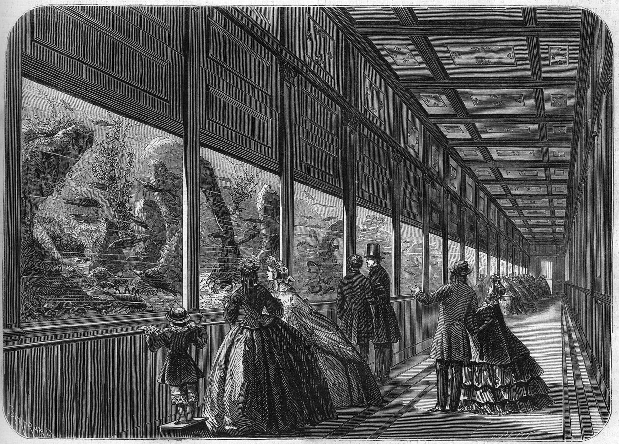 Das Aquarium des Pariser Akklimatisationsgartens im Jahr 1863 von French School