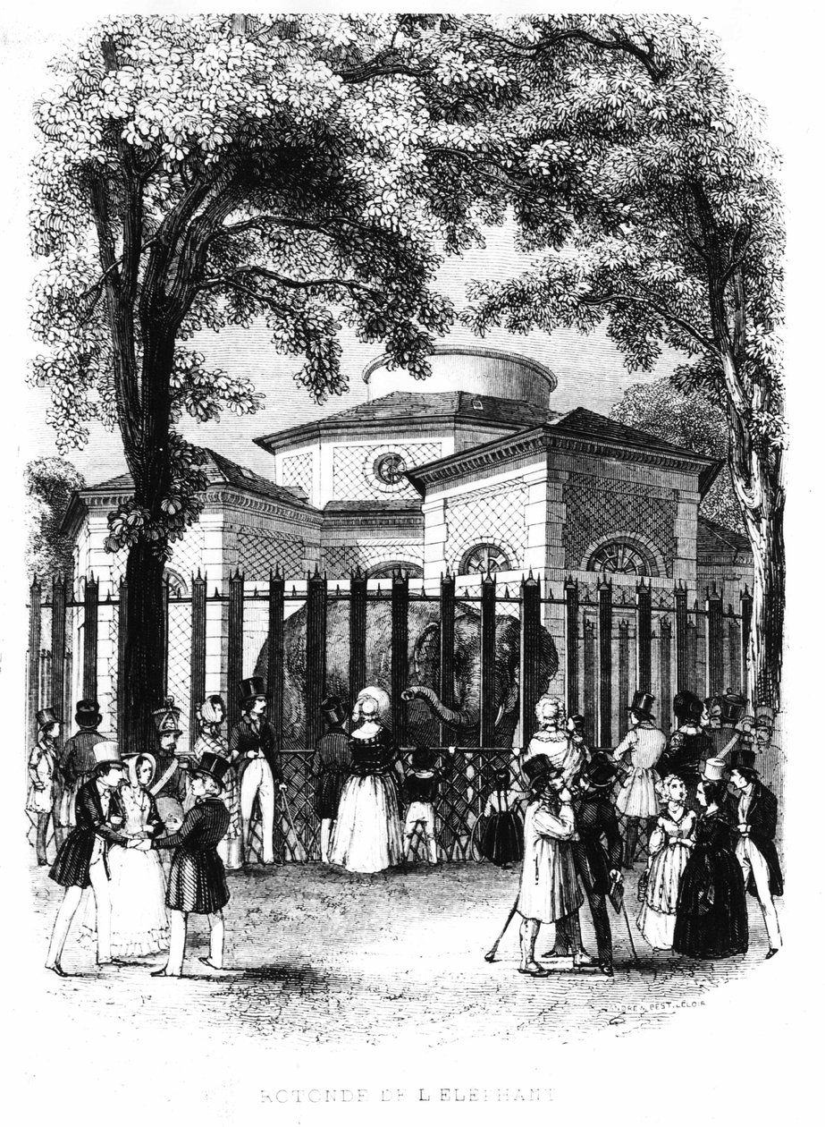 Die Elefantenrotunde des Jardin des Plantes in Paris von French School