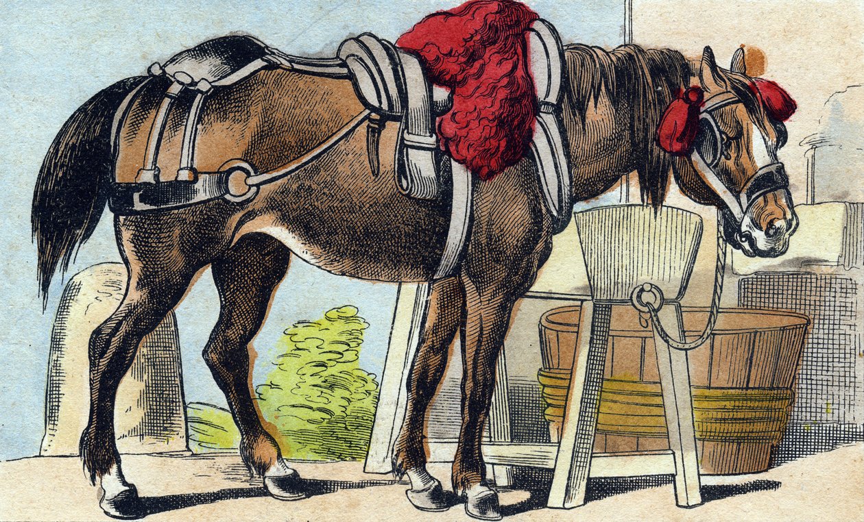 Das Pferd. Gravur in "Buffon Alphabet des Animaux" von French School