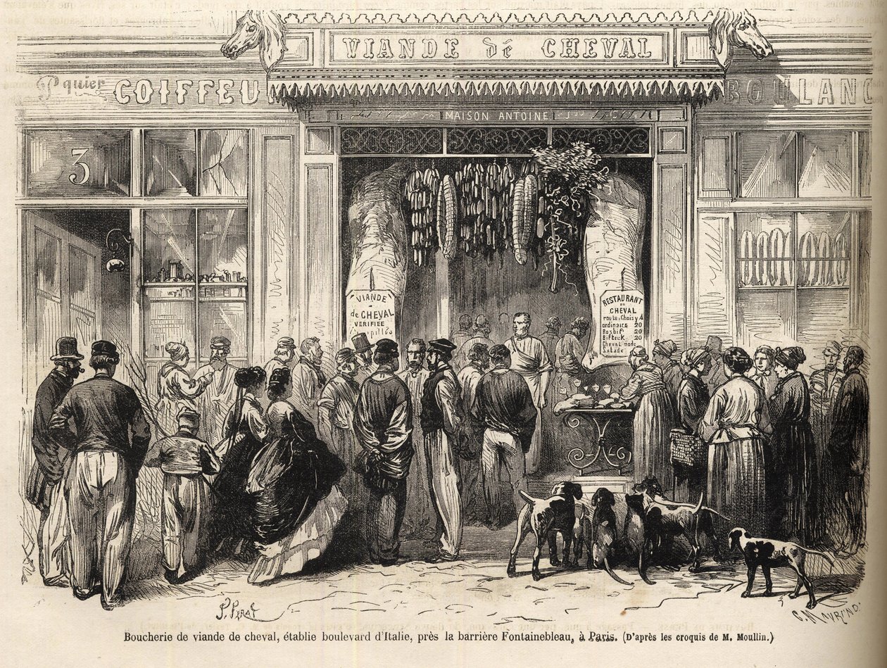 Der Pferdemetzgerladen an der Barriere de Fontainebleau (Paris) eröffnet 1866 - Boucherie chevaline - Boucherie Meat de Cheval Boulevard Italie nahe der Barriere de Fontainebleau 1866) Gravur in „Le monde illustrious“ von 1866 von French School