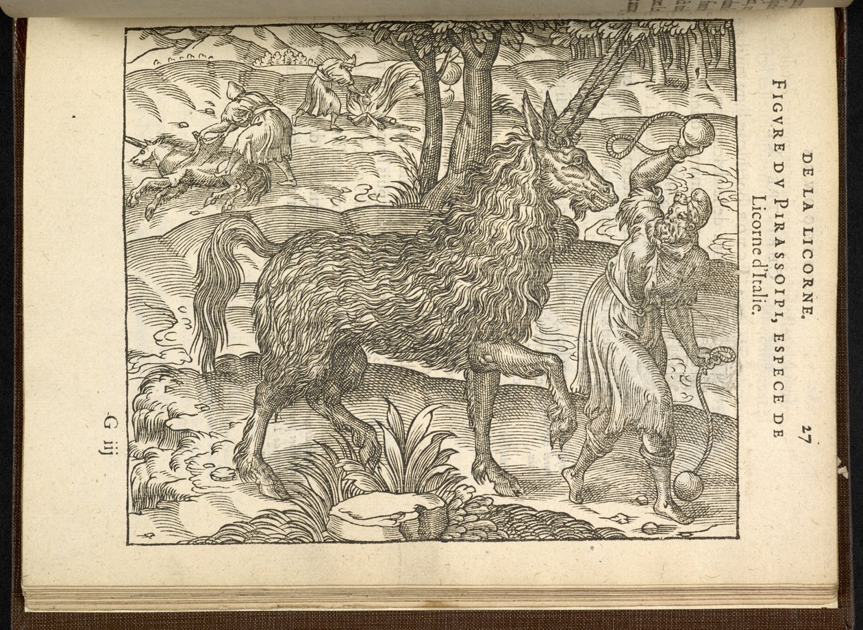 Die Jagd auf ein zweihörniges Einhorn (ein Pirassoipi.) aus 