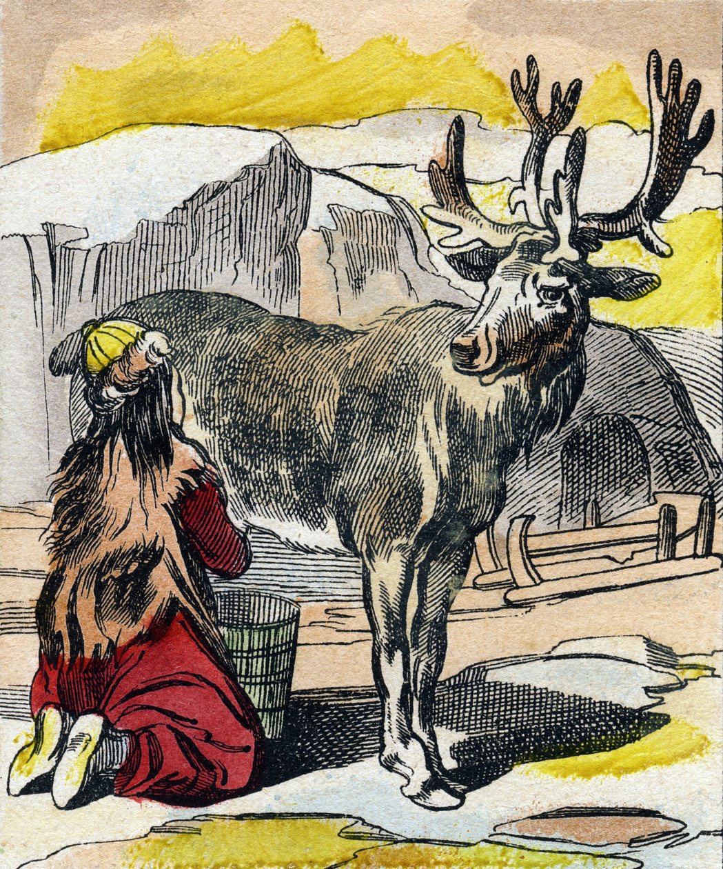 Das melkende Rentier. Gravur in "Buffon Alphabet des Animaux" von French School