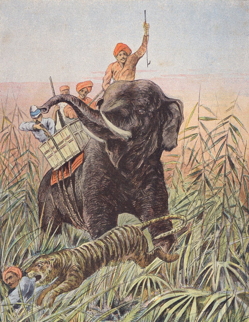 Tigerjagd, Indien von French School