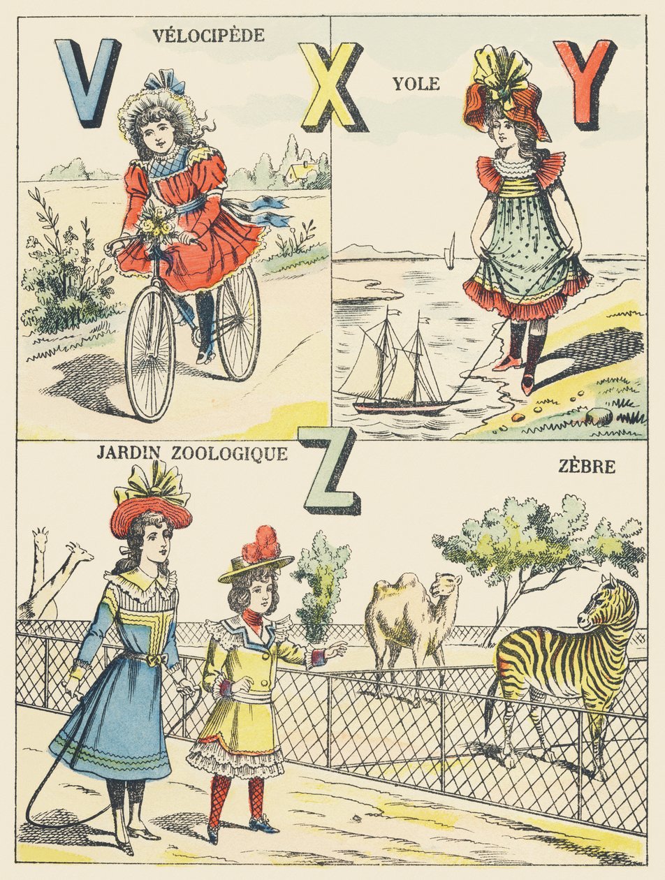 V X Y Z: Velociped, Yole, Zoologischer Garten, Zebra von French School