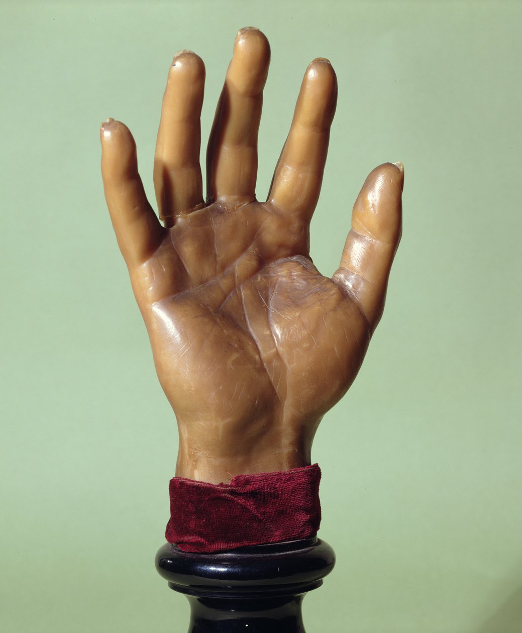Wachsguss der Hand von Jean-Baptiste Troppmann (1848-1970) 1869 von French School