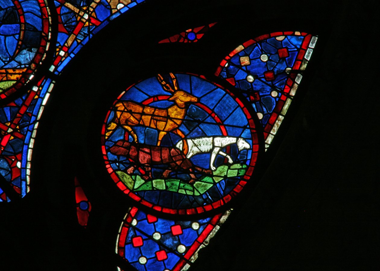 Fenster w115, die Erschaffung der Tiere darstellend von French School