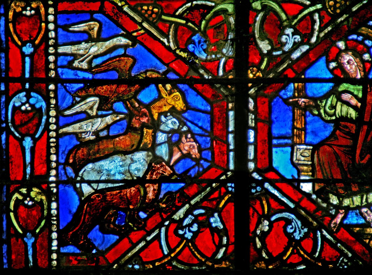 Fenster w21, die Erschaffung der Vögel und Tiere von French School