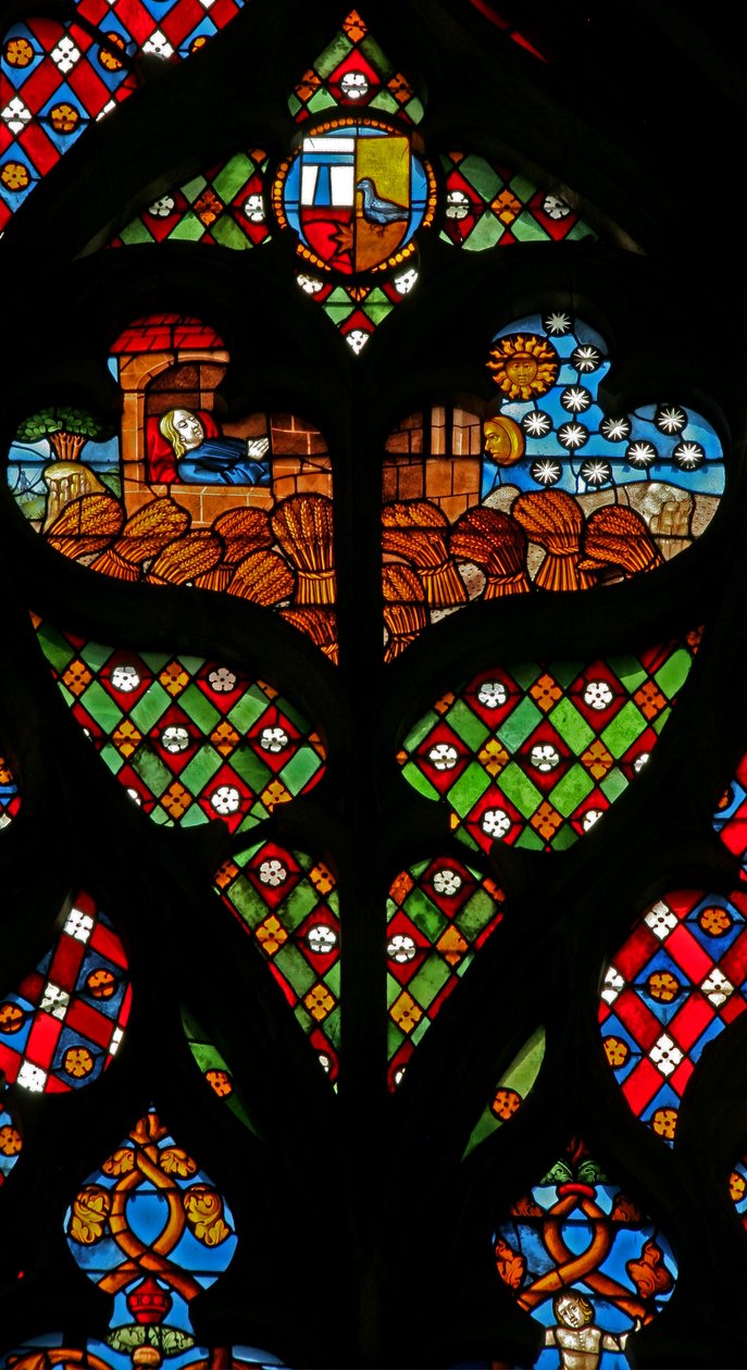 Fenster w234 zeigt ein Maßwerklicht mit Josef, der von Sonne, Mond und Sternen träumt, und dass sich die Garben seiner Brüder vor ihm verneigen von French School