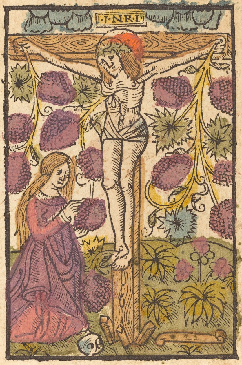 Christus am Kreuz mit einer Weinrebe von French or Netherlandish 15th Century