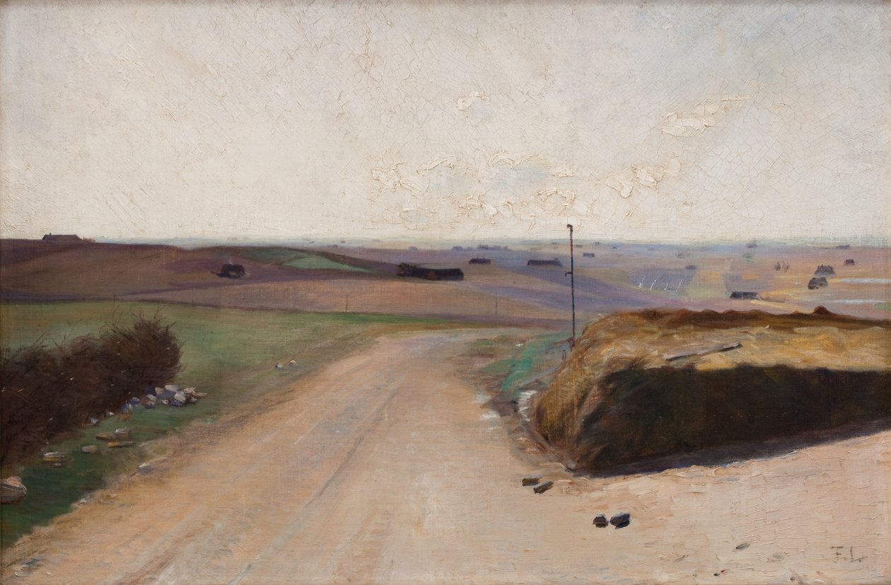 Eine Landschaft. Die Insel Mors, Jütland von Fridolin Johansen