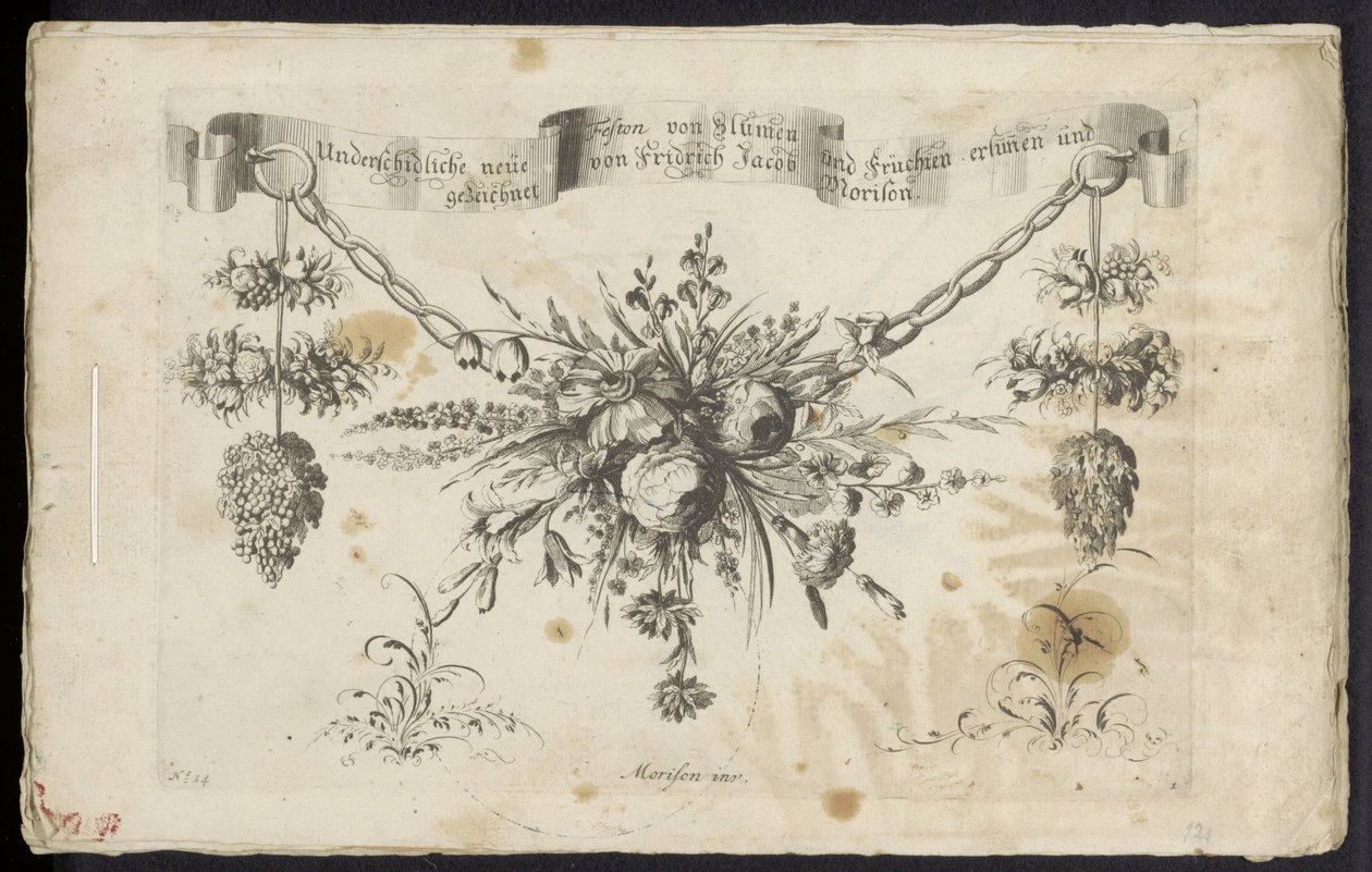 Unterschiedliche neue Festons von Blumen und Früchten von Friedrich Jacob Morisson