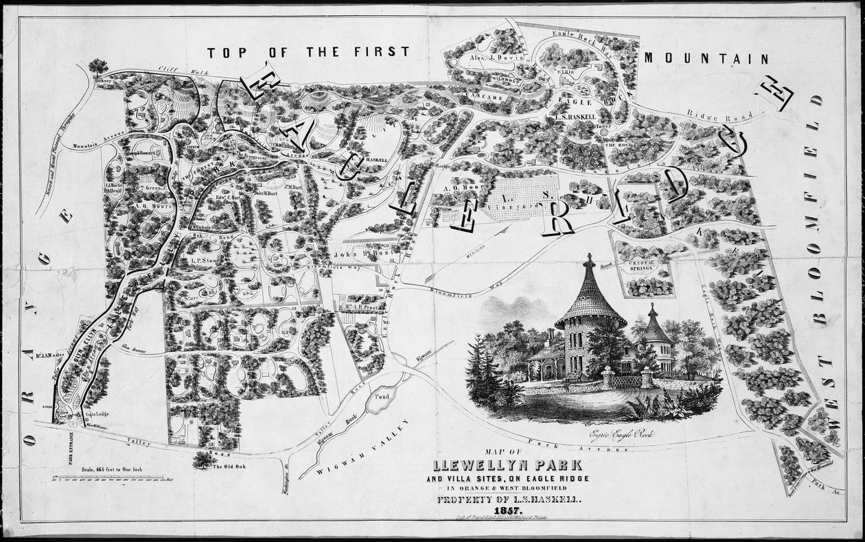 Karte von Llewellyn Park und Villenstandorten, auf Eagle Ridge in Orange & West Bloomfield, 1857 von Friend and Aub