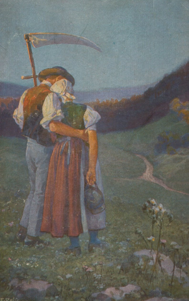 Schwarzwälder Leben von Fritz Reiss