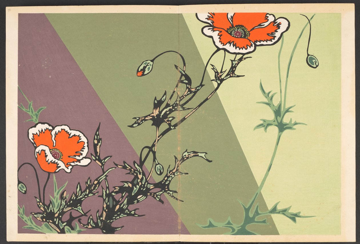 Shasei sôka môyô, Muster von Pflanzen und Blumen aus dem Leben von Furuya Korin