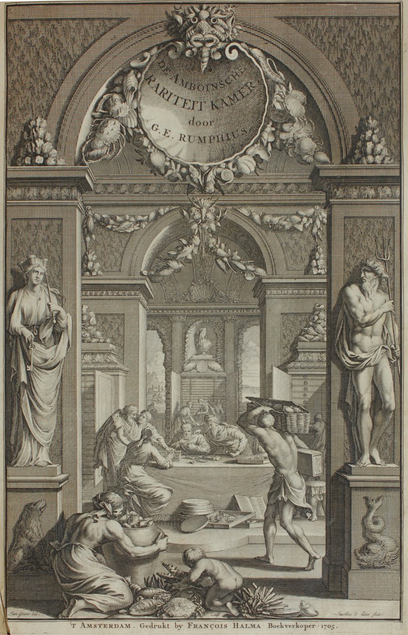 G. E. Rumphius, Amboinische Raritätenkammer, Amsterdam 1705 von G. E. Rumphius