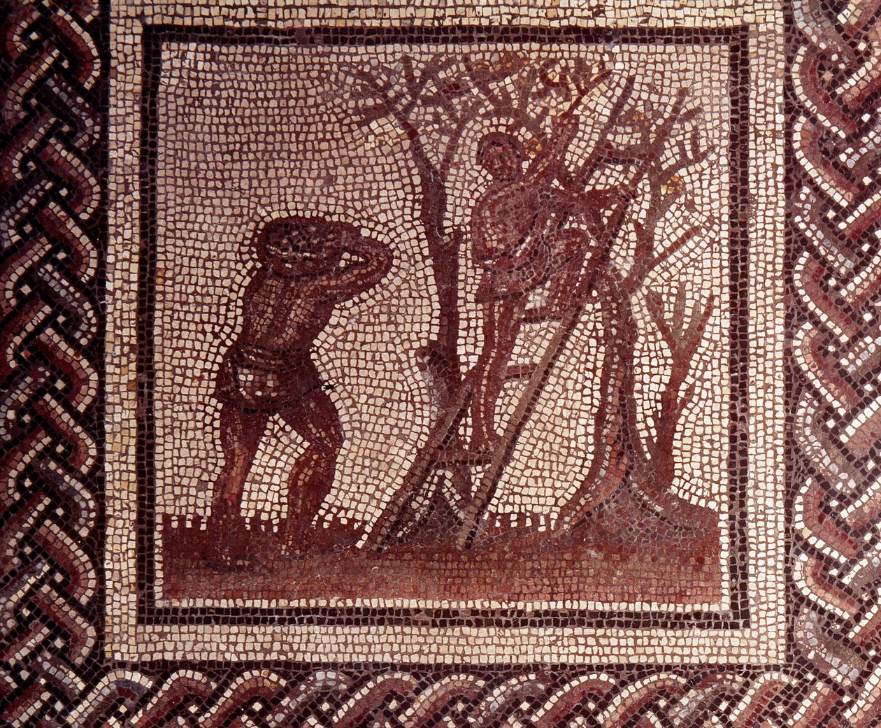 Gallorömische Kunst: Mosaikpflaster, das einen rustikalen Kalender darstellt. Olivenernteszene. Ende 2., Anfang 3. Jahrhundert n. Chr. Aus Saint-Romain-en-Gal (Rhône). Saint-Germain-en-Laye, Nationalmuseum für Archäologie von Gallo Roman