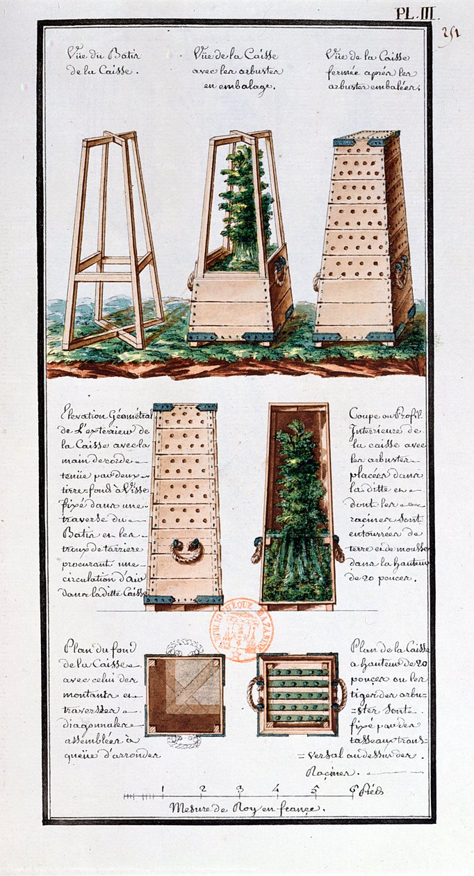 Illustration eines speziellen Schranks für den Transport von Sträuchern und Büschen, aus dem Notizbuch des Künstlers während der Expeditionen von Jean-Francois Gallup de la Perouse (1741-88) von Gaspard Duche de Vancy