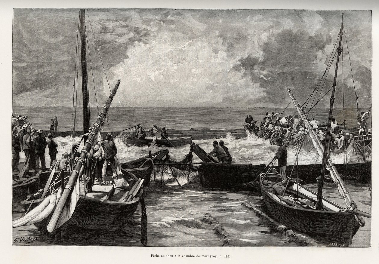 Thunfischfang (Mattanza): die Todeskammer, Thunfische, die in einem engen Raum zusammengedrängt sind, werden von den Harpunen der Fischer getroffen. Gravur und Geschichte „La Sardaigne“ von Gaston Vuillier (1845-1915), 1890, in Le tour du monde, nouveau jo von Gaston Vuillier