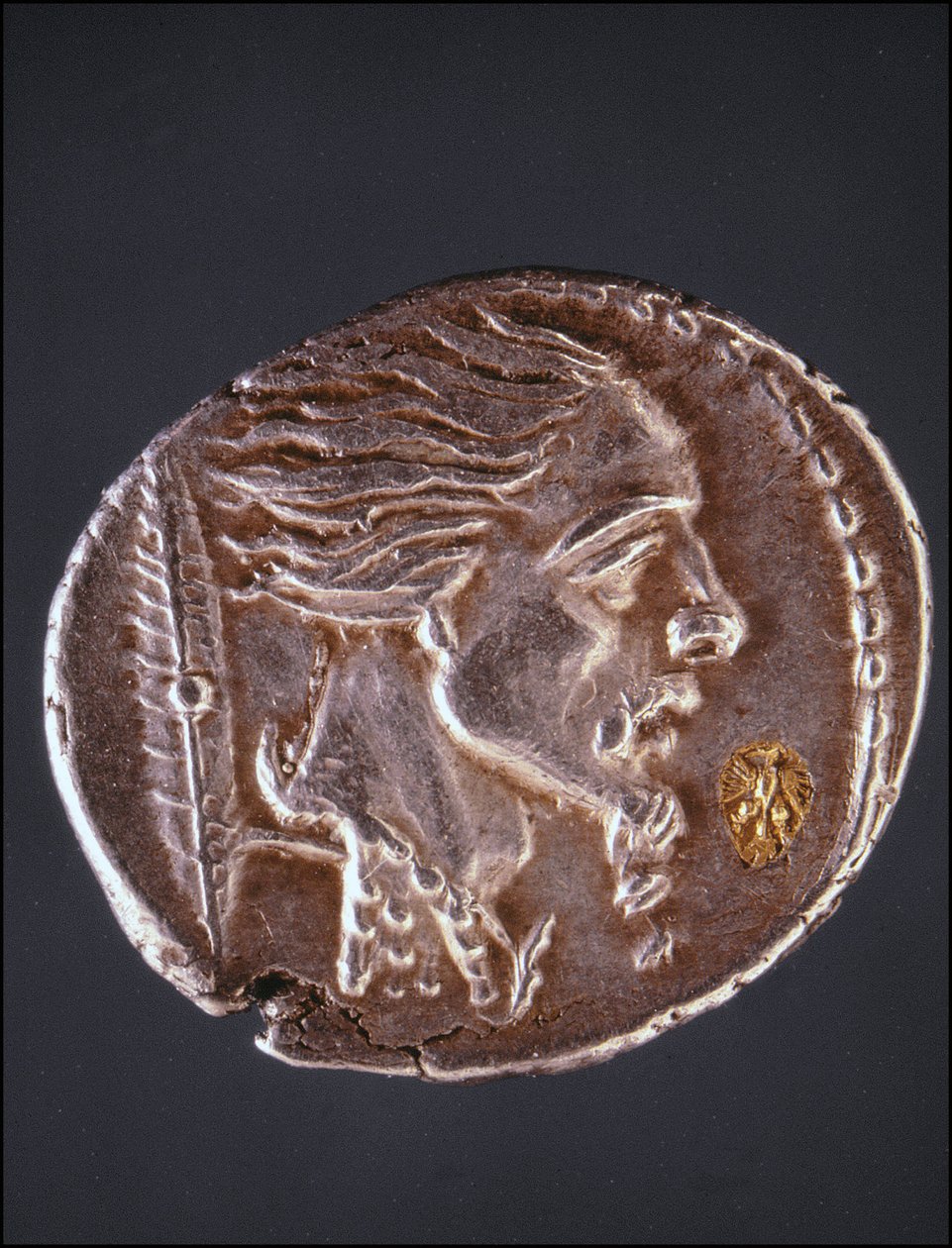 Vermutliches Profil von Vercingetorix auf einem gallischen Stück. Museo del Medagliere. Mailand von Gaulish Gaulish