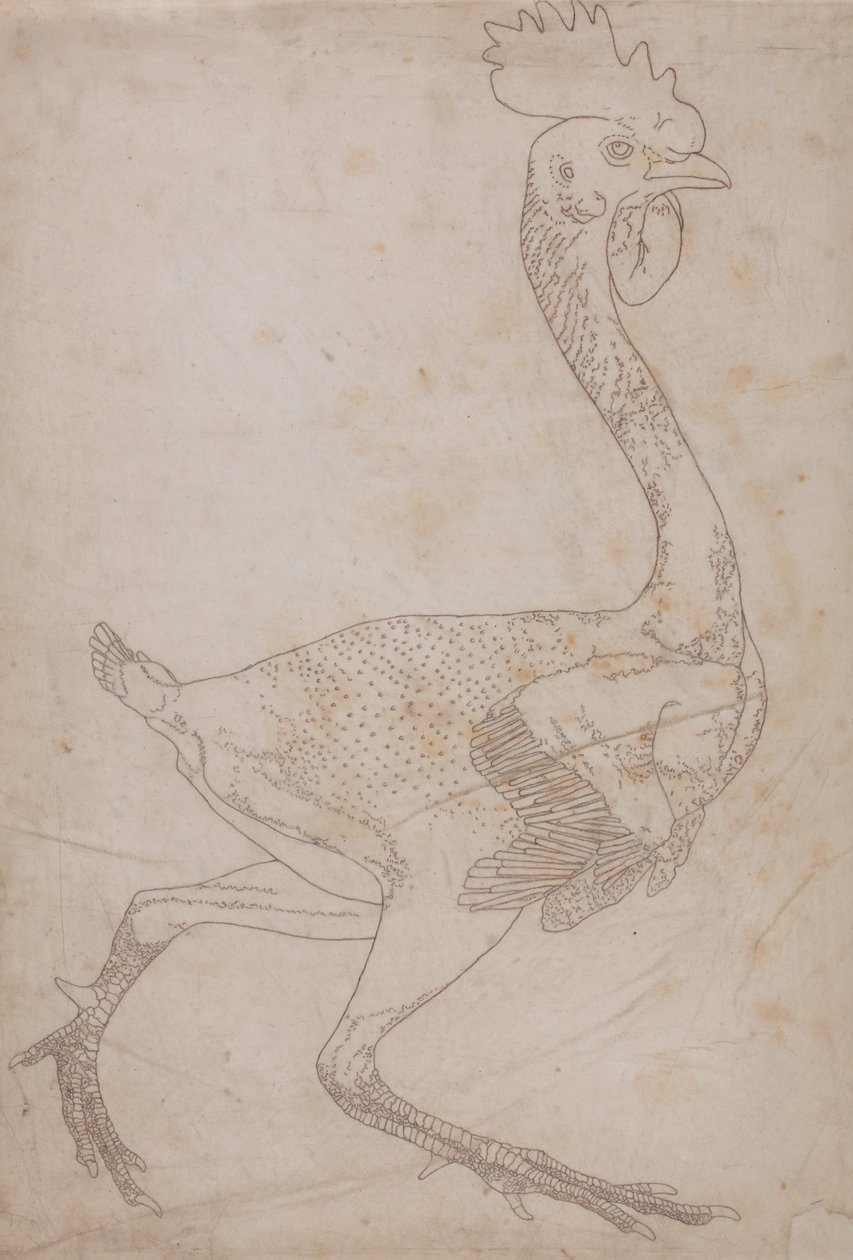 Vergleichende anatomische Darstellung der Struktur des menschlichen Körpers mit der eines Tigers und einer Kuh von George Stubbs