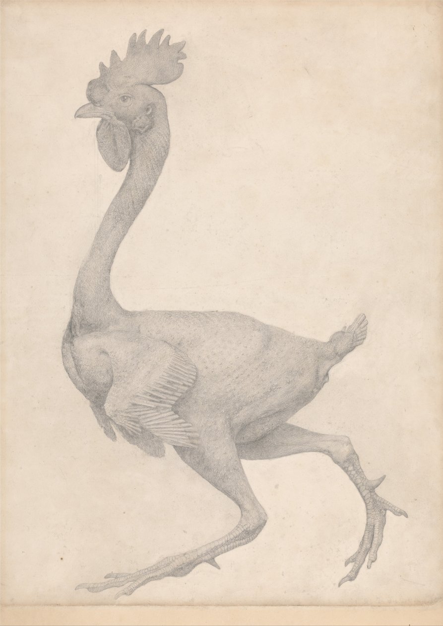 Vergleichende anatomische Darstellung der Struktur des menschlichen Körpers mit der eines Tigers und einer Kuh von George Stubbs