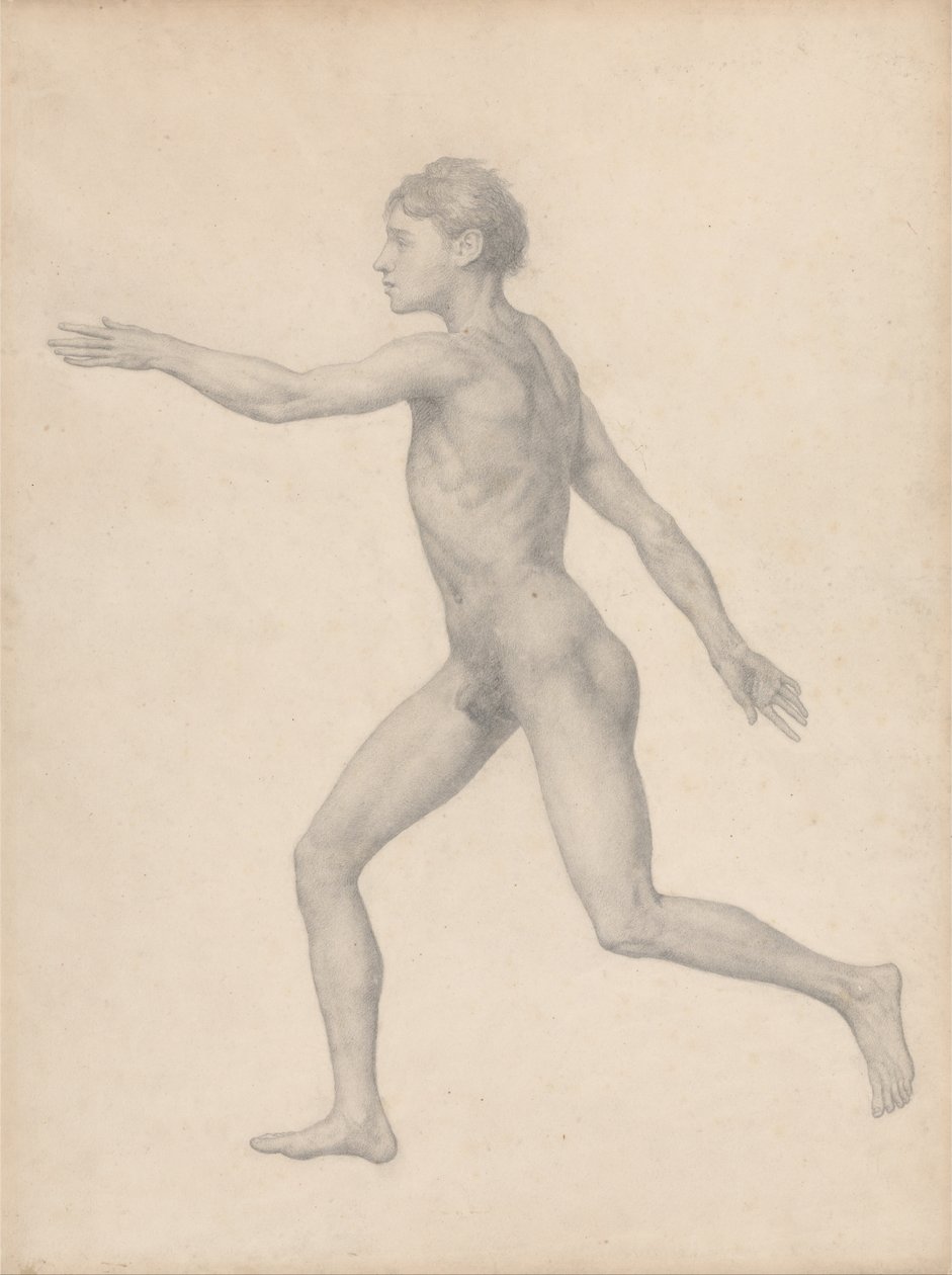 Vergleichende anatomische Darstellung der Struktur des menschlichen Körpers mit der eines Tigers und eines Co... von George Stubbs