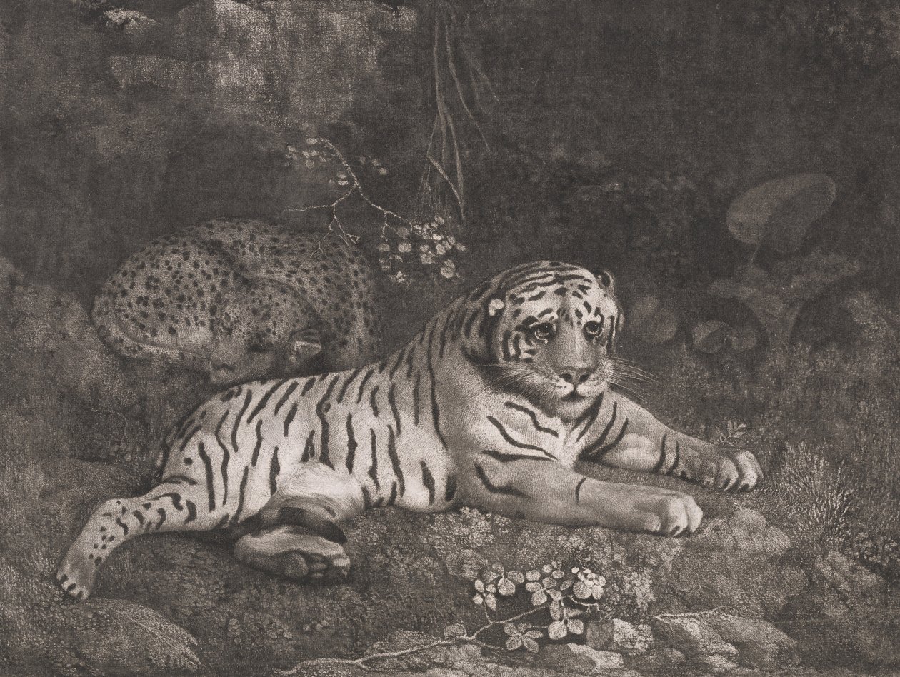 Ein Tiger und ein schlafender Leopard von George Stubbs