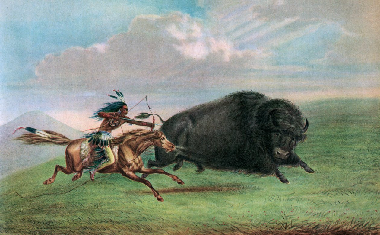 Druck nach Buffalo Hunt von George (after) Catlin