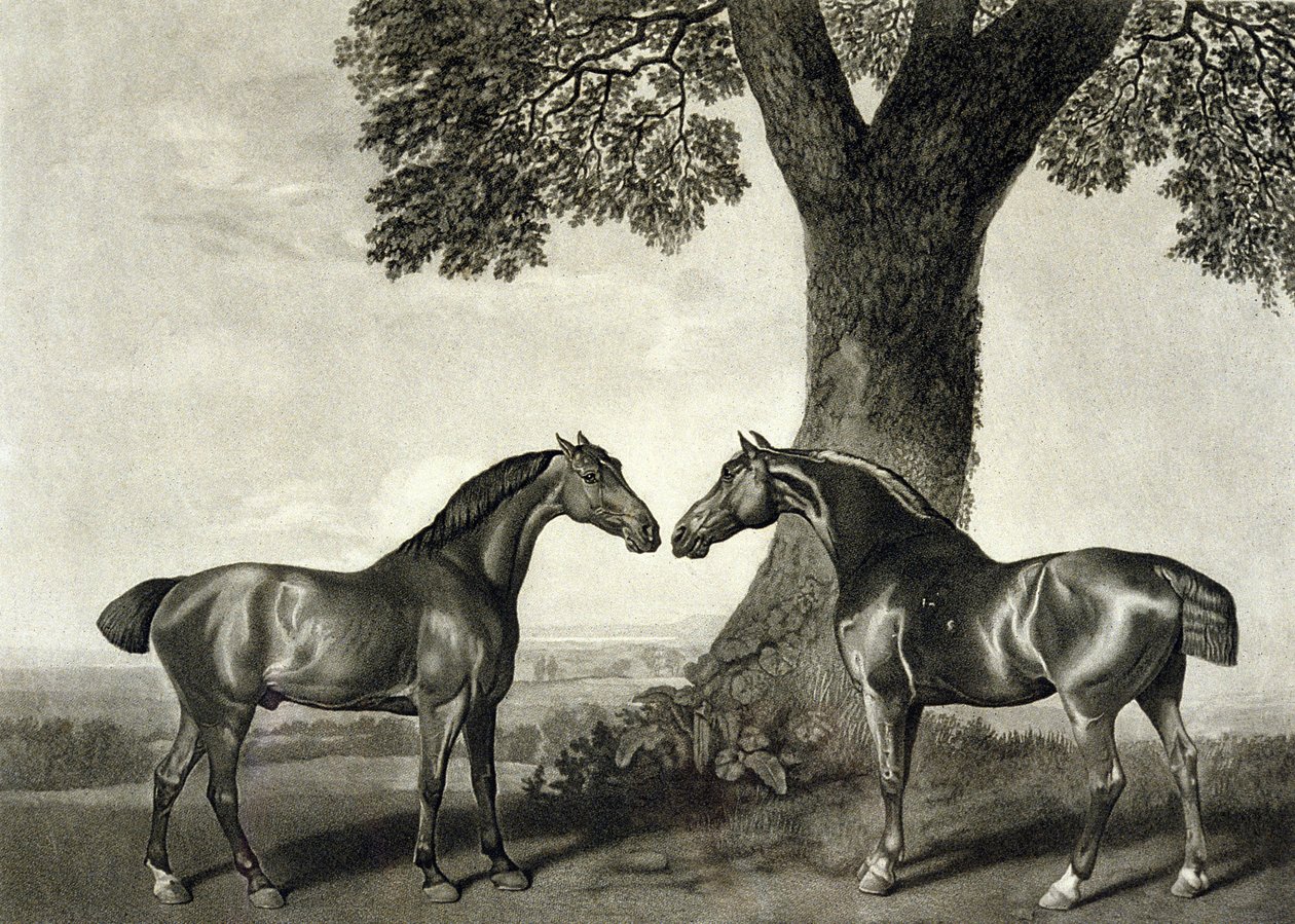 Zwei Jäger, graviert von G.T. Stubbs von George (after) Stubbs