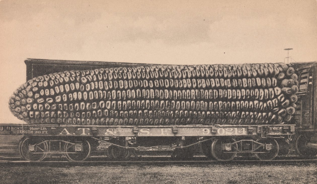 Eine Wagenladung Texas-Mais, ca. 1910 von George B. Cornish