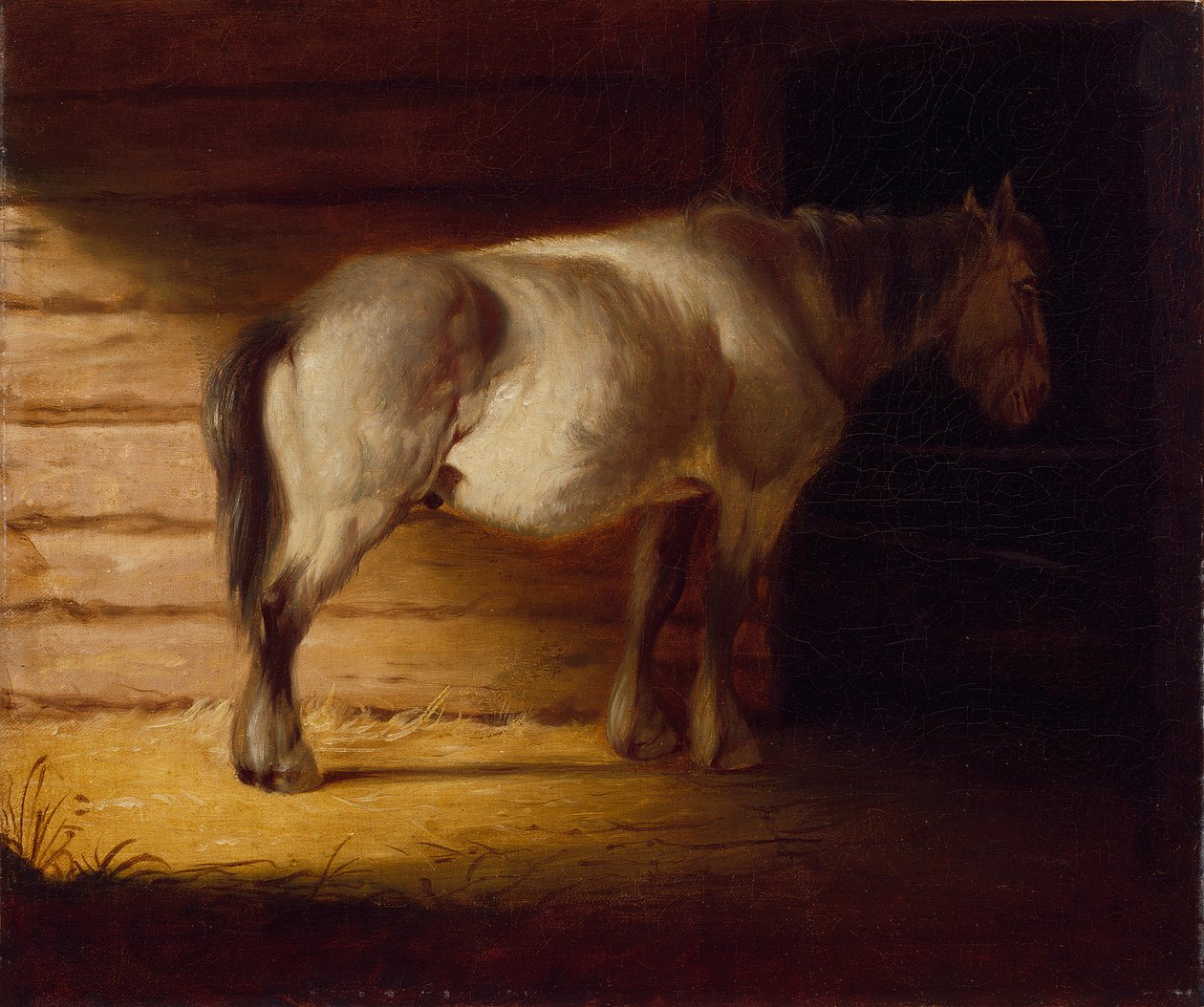 Altes Feldpferd von George Caleb Bingham