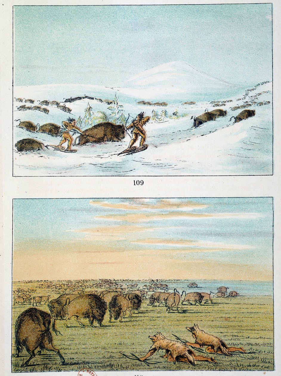 Indianer Amerikas. Bisonjagd: Indianer tragen Schneeschuhe, um im Winter zu jagen, und bedecken sich im Sommer mit Wolfshaut. Illustration von George Catlin (1794-1872) von George Catlin