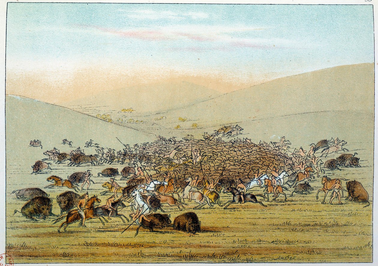 Indianer Amerikas: Indianer jagen Büffel mit Speeren. Illustration von George Catlin (1794-1872) von George Catlin