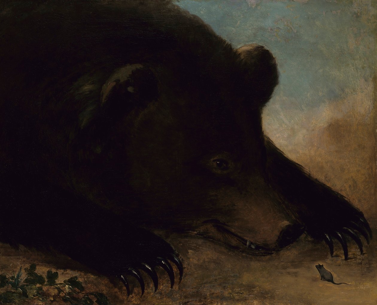 Porträts eines Grizzlybären und einer Maus, Lebensgröße von George Catlin