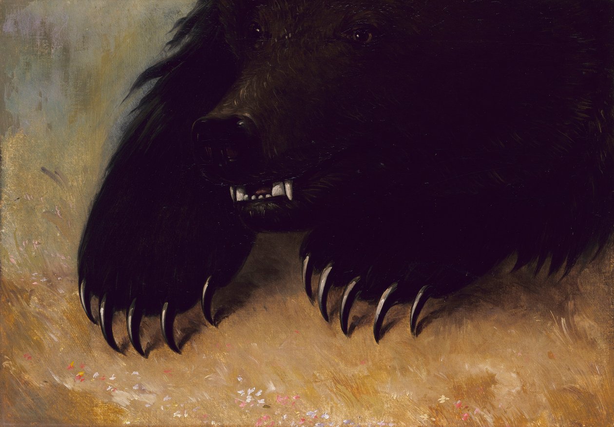 Waffen und Physiognomie des Grizzlybären von George Catlin