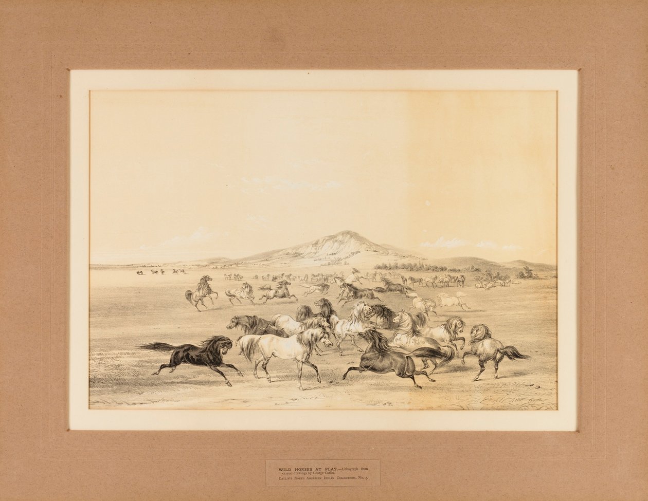 Wilde Pferde beim Spielen--Nr. 3 von George Catlin