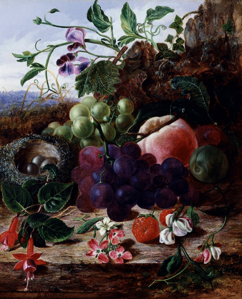 Stillleben mit Früchten, Fuchsie und Vogelnest. Gemälde von George Clare (1835-1899) Privatsammlung. von George Clare