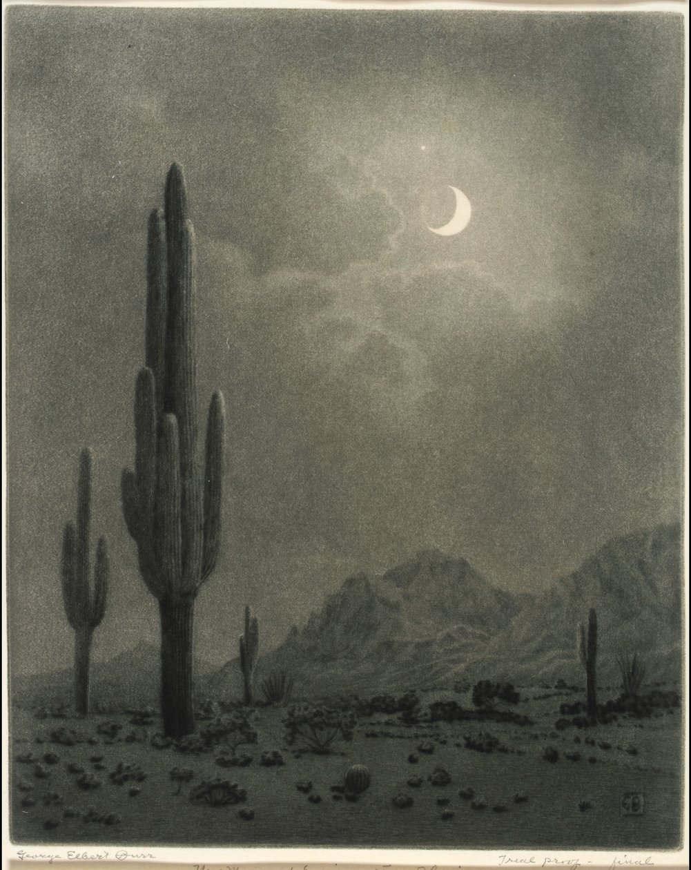 Neumond und Abendstern, Phoenix von George Elbert Burr